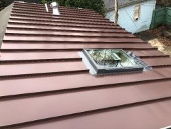 Metal Roofing